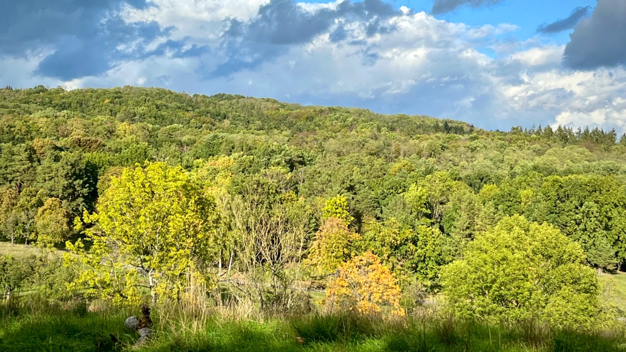 2024.06.18_PM_NP-Egge